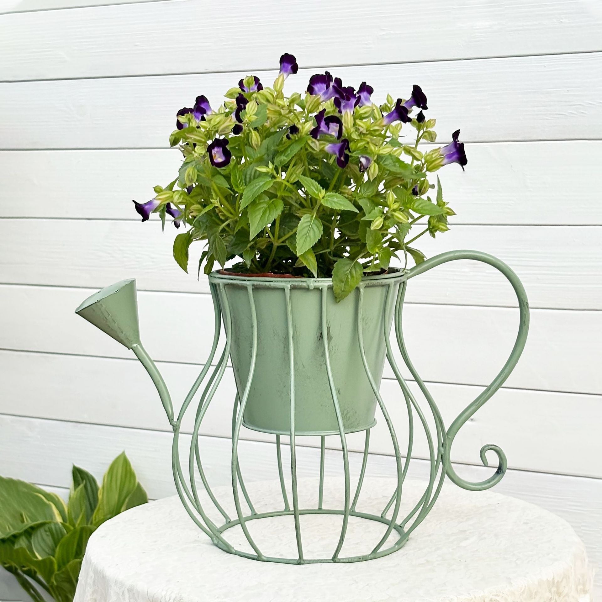 Vintage Metal Watering Can Planter