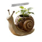 Resin Snail Succulent Planter
