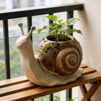 Resin Snail Succulent Planter
