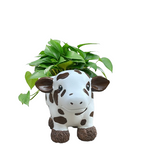 Resin Highland Cow Planter Decor
